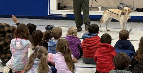 Coffee, Canines, and Courage